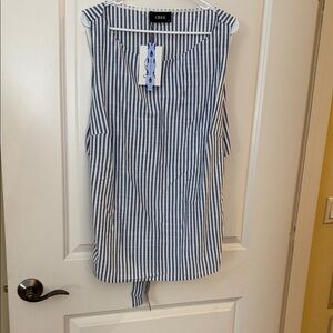 Cider Striped Sleeveless Blouse in Blue and White
